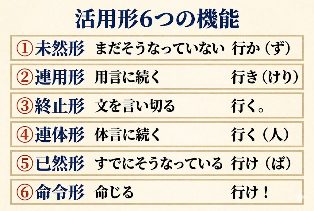 活用形6つの機能