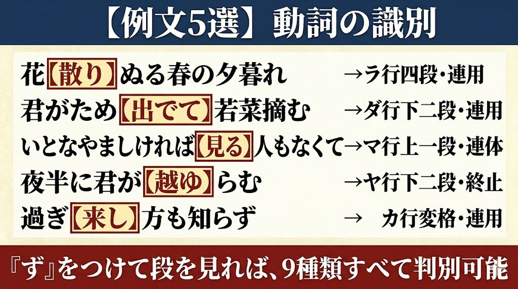 例文5選 動詞の識別
