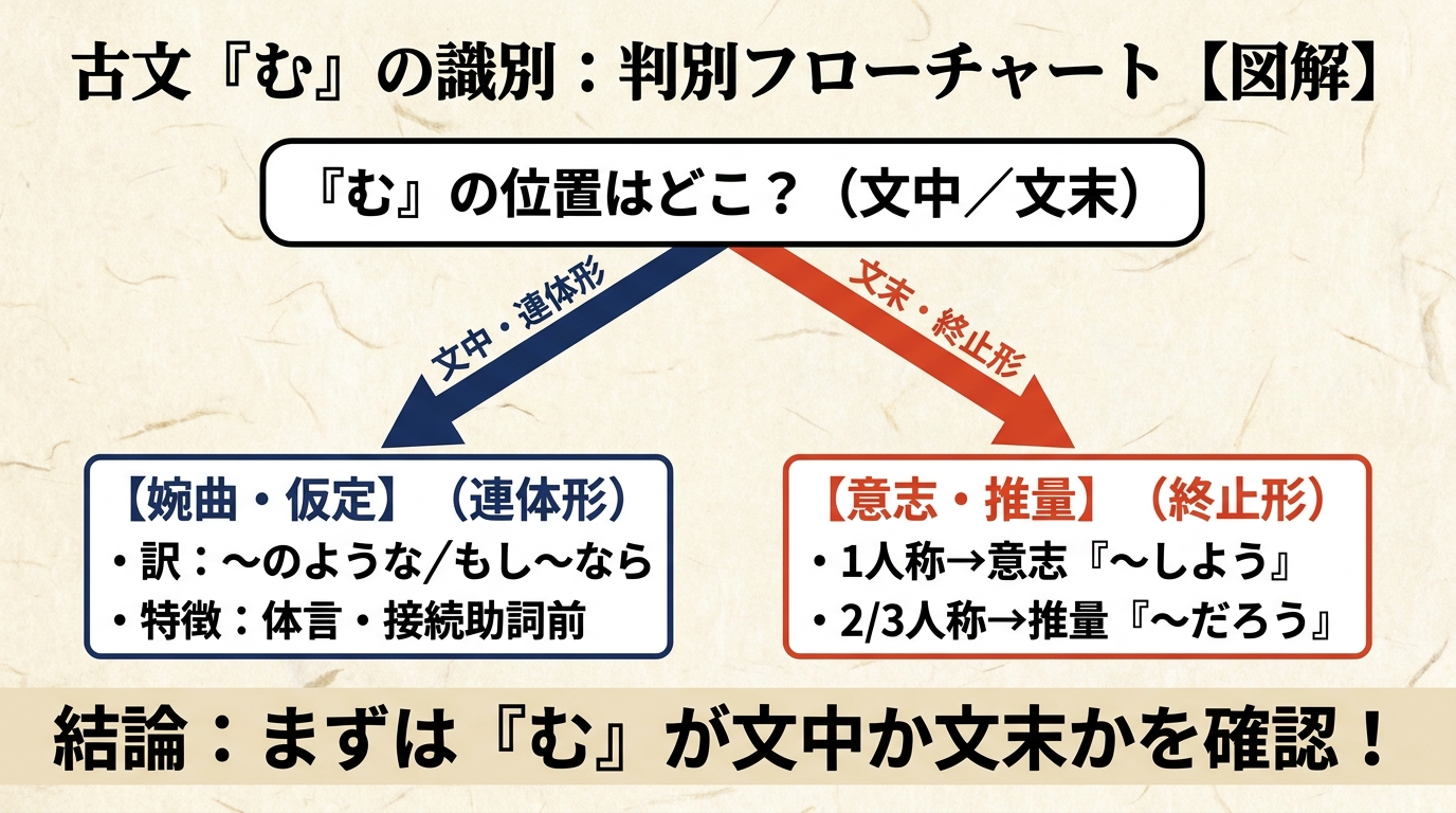 判別フローチャート:『む』の位置はどこ? 文中・連体形→婉曲・仮定/文末・終止形→意志・推量