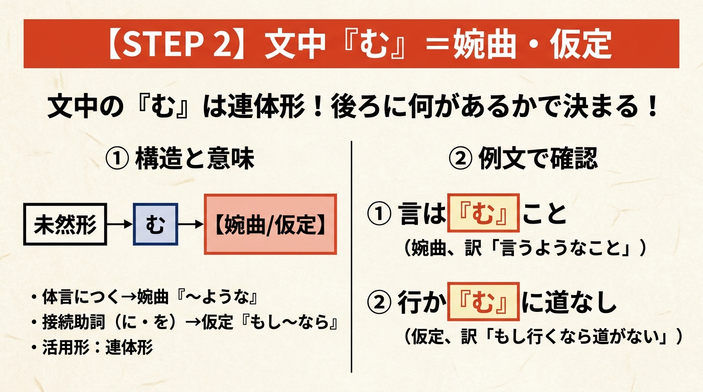 STEP 2 文中『む』=婉曲・仮定。文中の『む』は連体形!後ろに何があるかで決まる!
