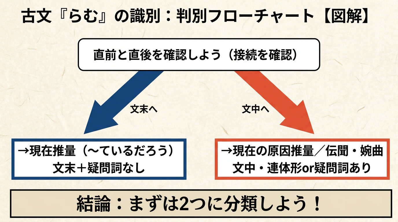 判別フローチャート：直前と直後を確認しよう。文末→現在推量（疑問詞なし）／文中→現在の原因推量・伝聞・婉曲
