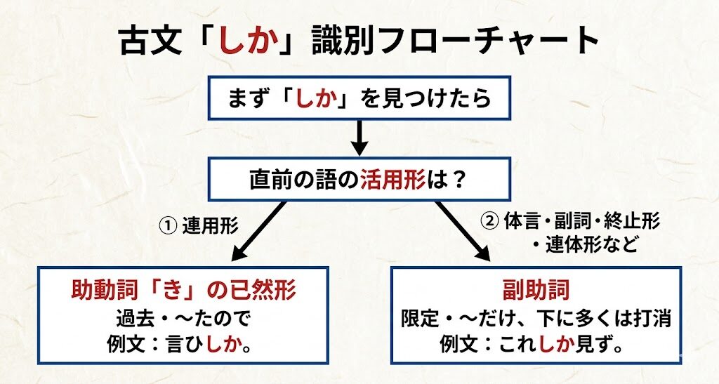 「しか」識別フローチャート:直前の語の活用形は?連用形→助動詞「き」の已然形/体言・副詞・終止形・連体形→副助詞