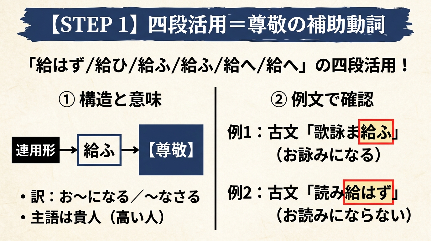 STEP 1 四段活用＝尊敬の補助動詞。「給はず／給ひ／給ふ／給ふ／給へ／給へ」の四段活用！主語は貴人