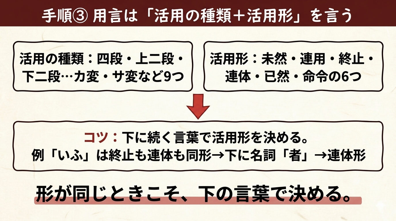 品詞分解 手順3 用言の活用の種類と活用形 図解