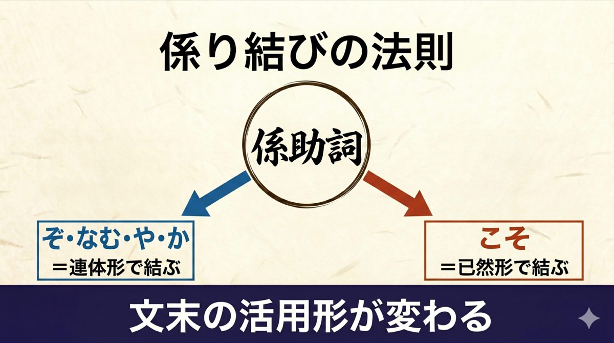 古文 係り結びの法則 図解（係助詞：ぞ・なむ・や・か＝連体形で結ぶ、こそ＝已然形で結ぶ）