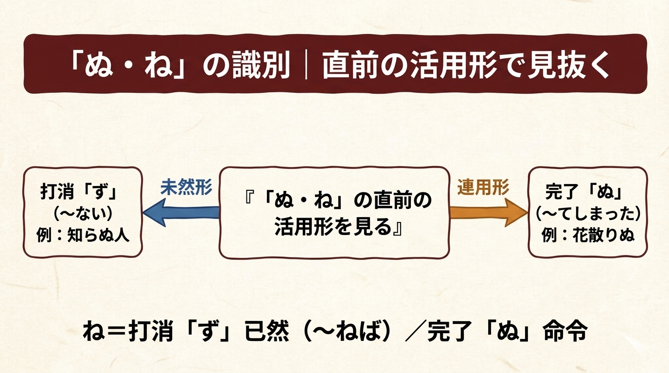 「ぬ・ね」の識別 図解｜打消ずか完了ぬか
