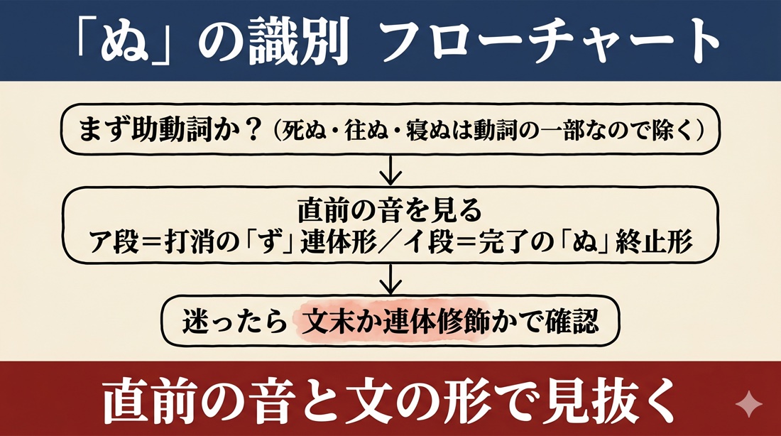 古文「ぬ」の識別フローチャート(助動詞か→直前の音 ア段=打消ず連体形/イ段=完了ぬ終止形→文末か連体修飾か)